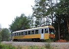VT13 nach Litschau (4)